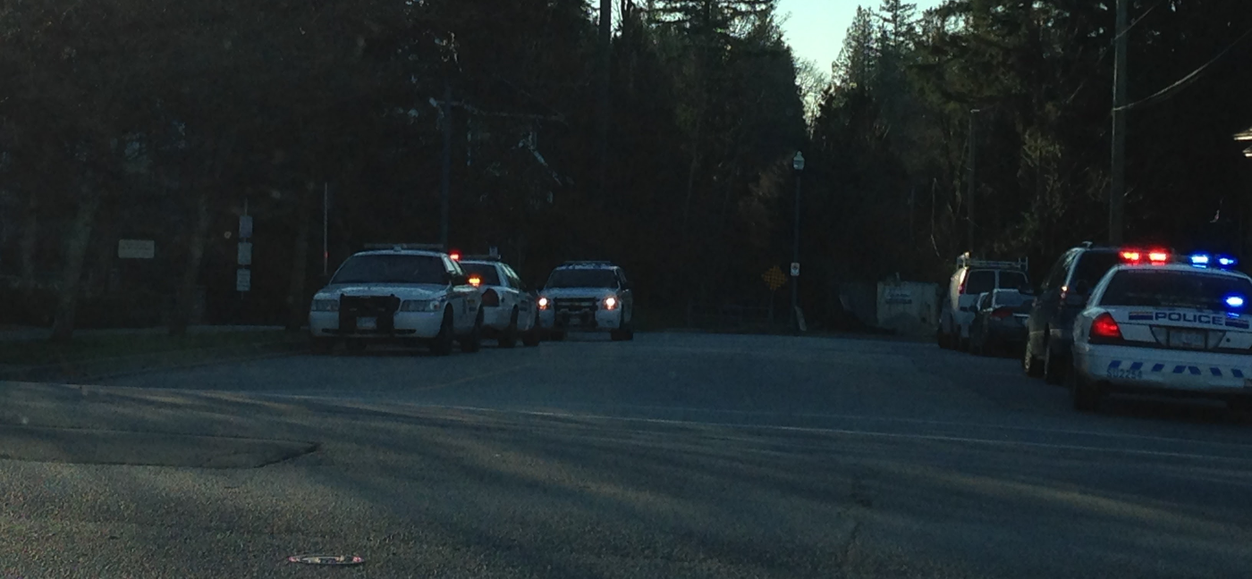 Traffic Concerns: Road Safety and Infrastructure Challenges in Rosemary Heights