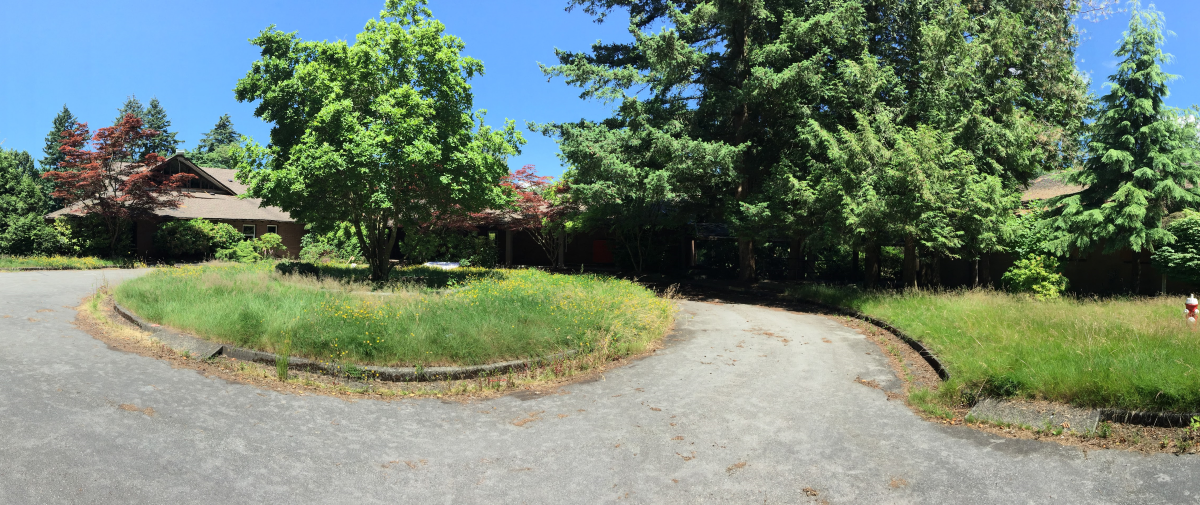 Environmental Concerns: Protecting Rosemary Heights' Riparian Forest