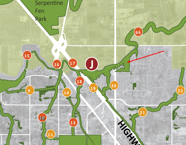 Biodiversity Conservation